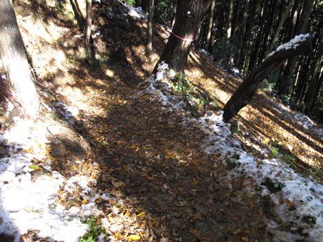 20161125hike (293)